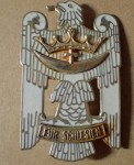 ww2 German badge. Click for more information...
