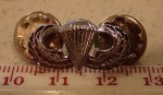 Small Para wing badge. Click for more information...